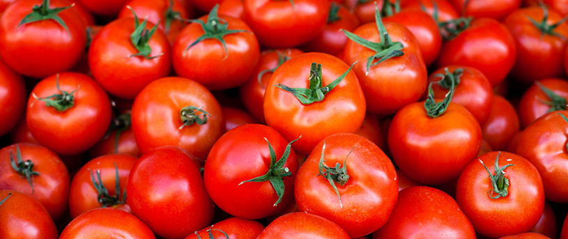 alimentos-para-manter-a-pele-saudavel-o-ano-todo-tomates