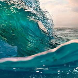 Dia Mundial dos Oceanos – veja como andam nossos mares e 5 Ações para você usar hoje mesmo