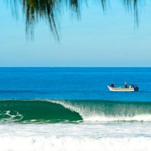 Pesca da Tainha começa em Santa Catarina – Fique atento às regras para a o Surf