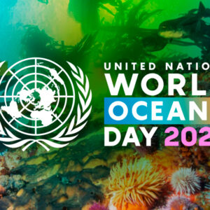 Dia Mundial dos Oceanos 2022 – Revitalização